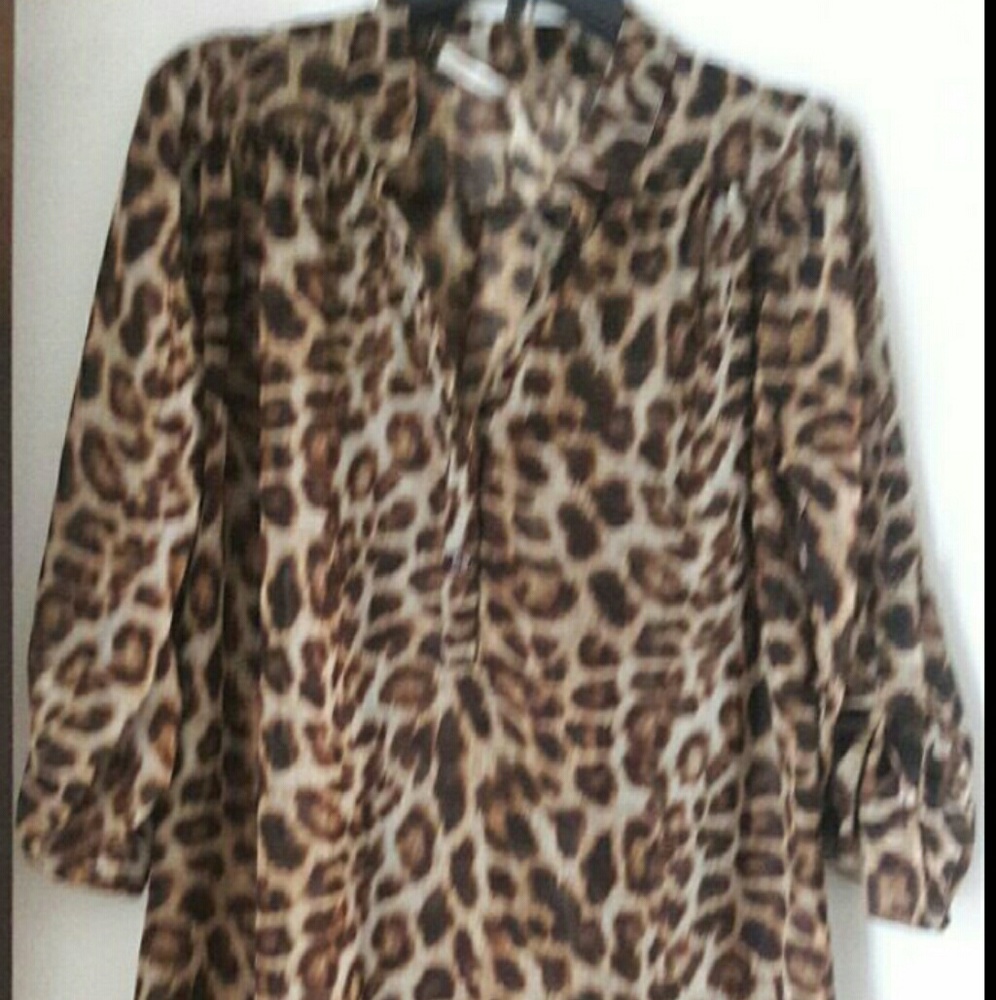 Animal print Blouse